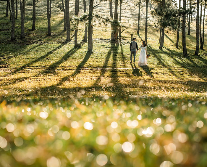 表示できません
